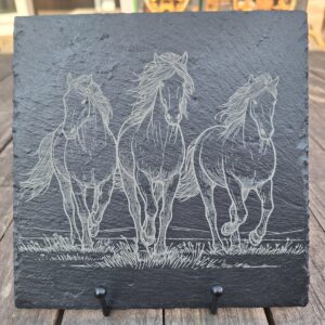 Leisteen vierkant paarden